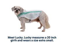 Swamp Cooler kølende hundevest - Ruffwear Sage Green