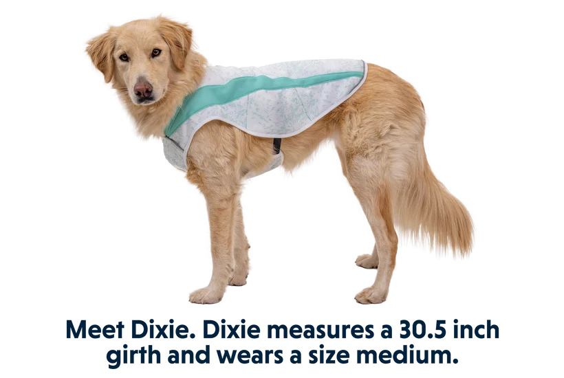 Swamp Cooler kølende hundevest - Ruffwear Sage Green