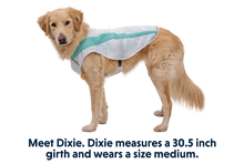 Swamp Cooler kølende hundevest - Ruffwear Sage Green