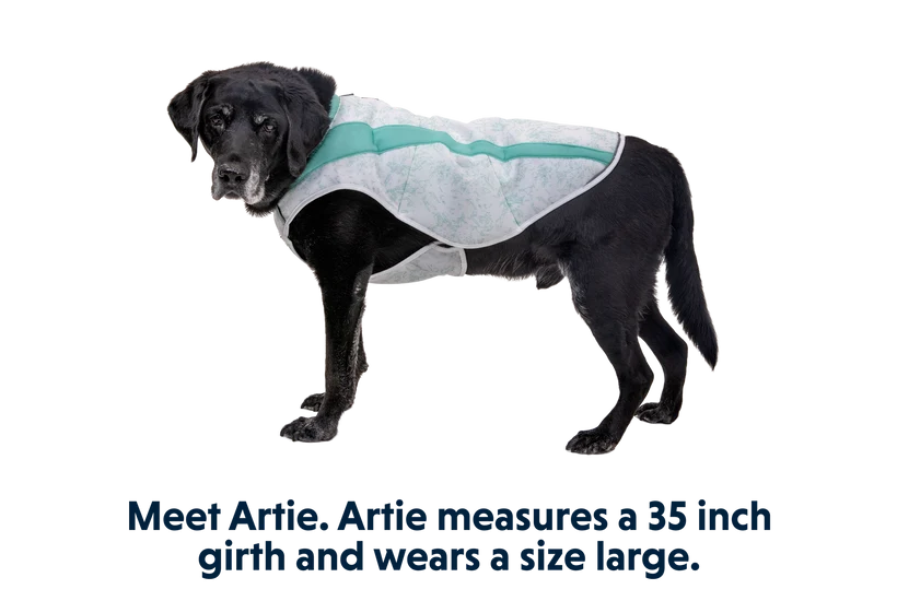 Swamp Cooler kølende hundevest - Ruffwear Sage Green