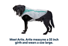 Swamp Cooler kølende hundevest - Ruffwear Sage Green