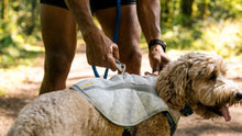 Swamp Cooler kølende hundevest - Ruffwear Heliotrope Purple
