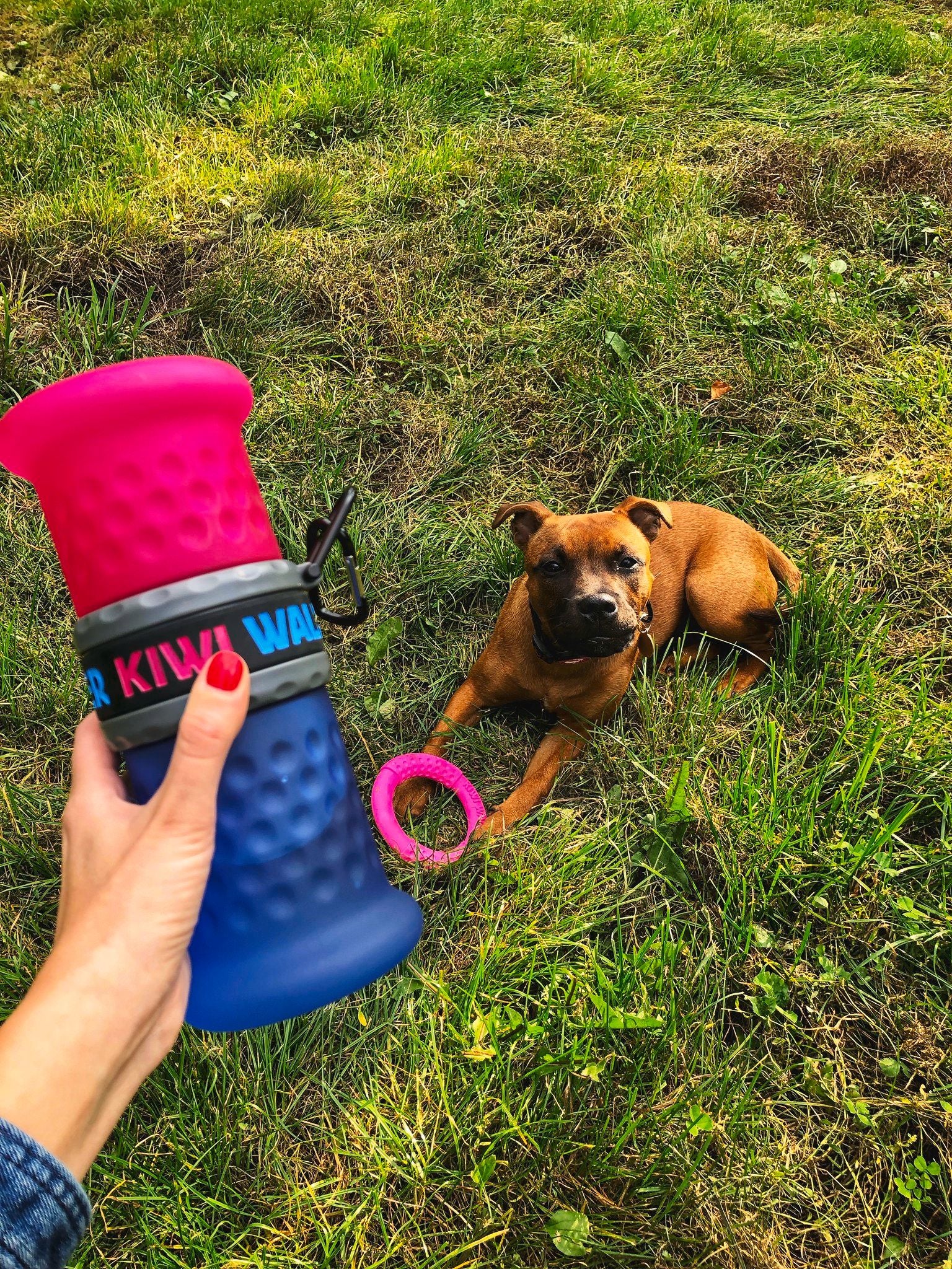 Travel Bottle 2in1