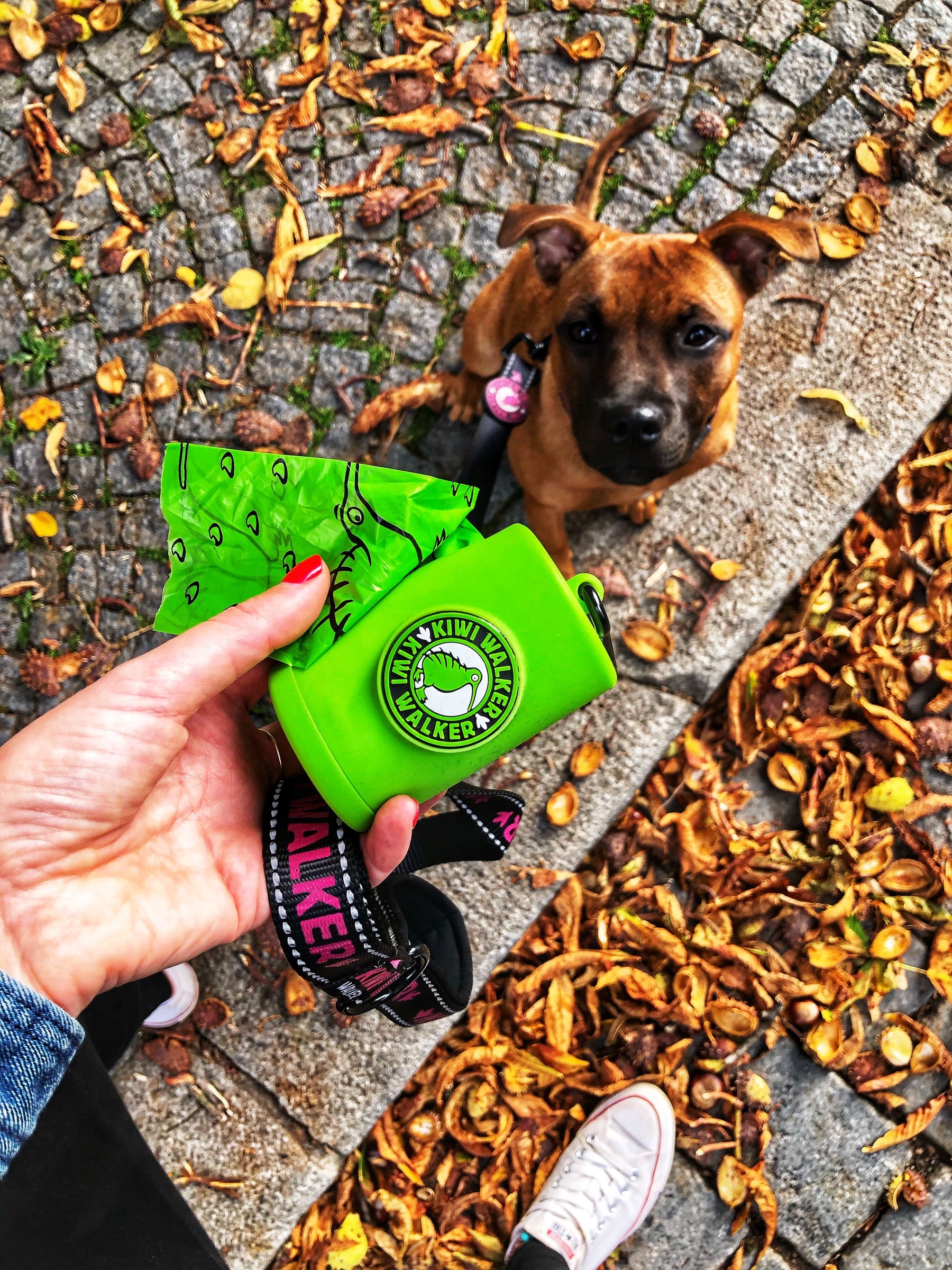 Kiwi Walker hundeposer - 5 pak