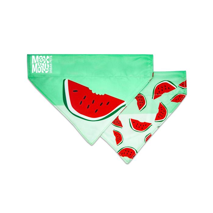 Bandana - Watermelon