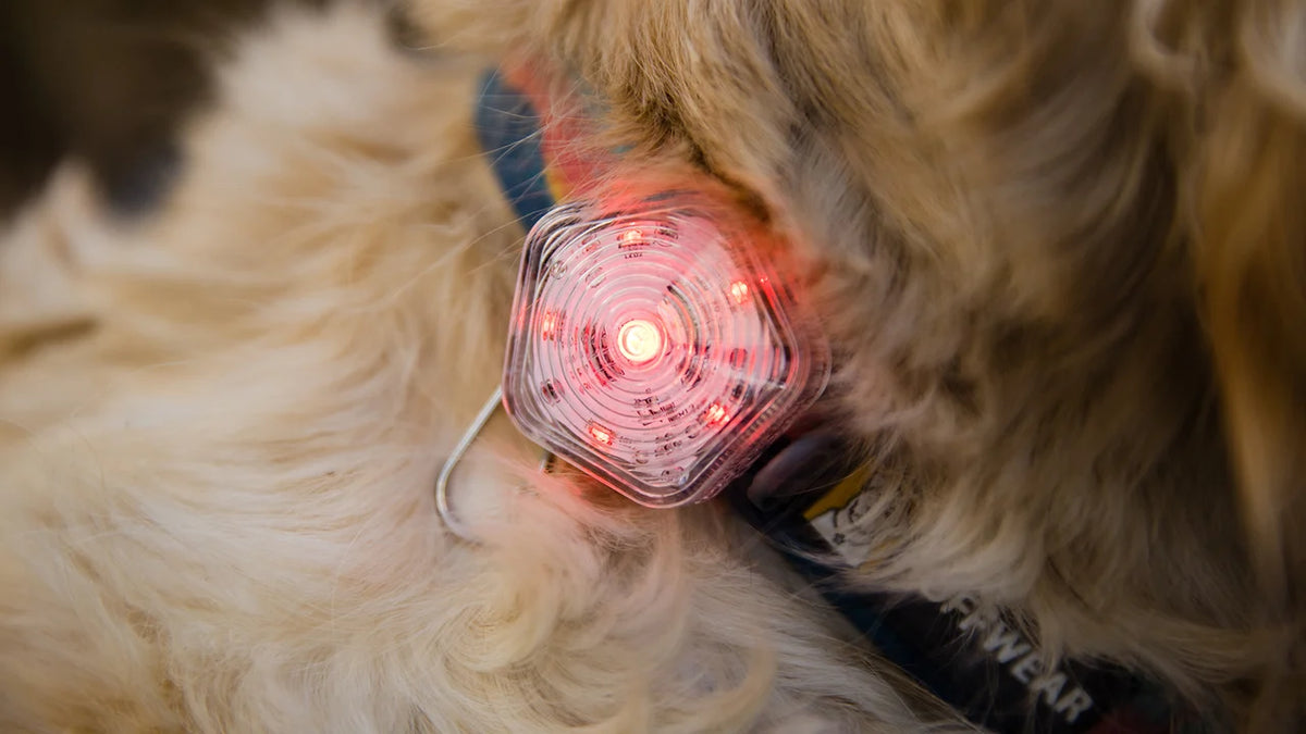 The Beacon Waterproof Light - Ruffwear