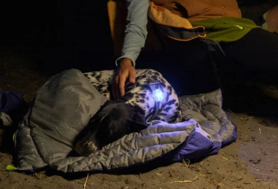 The Beacon Waterproof Light - Ruffwear