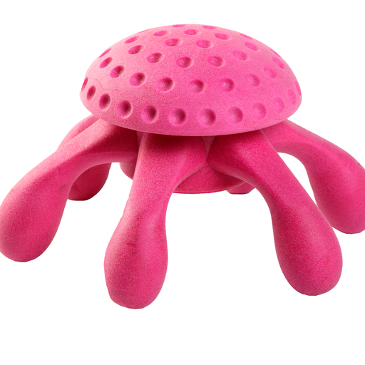 Let's play OCTOPUS - MAXI
