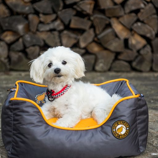 Kiwi Walker Sofa hundeseng - GRØN