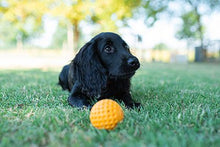 Let's play BALL - MINI