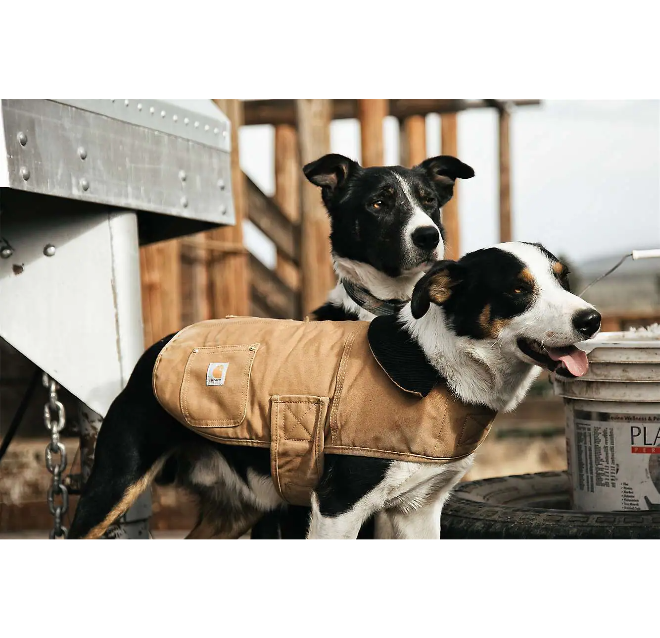 Carhartt Chore Dækken