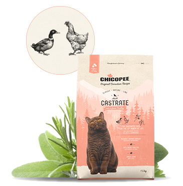Chicopee Adult Cat Castrate Poultry