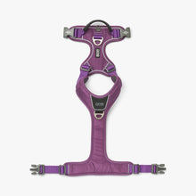 Comfort Walk Pro Sele - Lilla - Dog Copenhagen