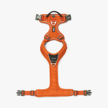 Comfort Walk Pro Sele - Orange - Dog Copenhagen