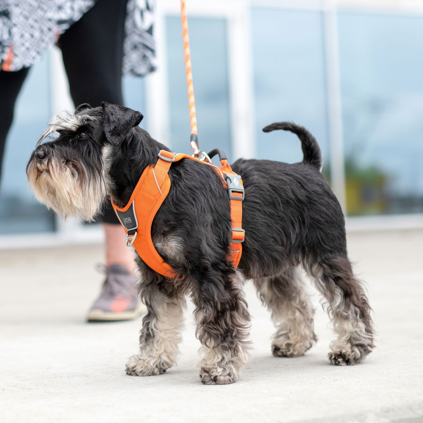 Comfort Walk Pro Sele - Orange - Dog Copenhagen