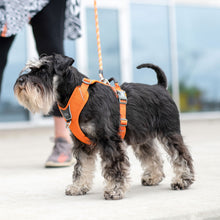 Comfort Walk Pro Sele - Orange - Dog Copenhagen