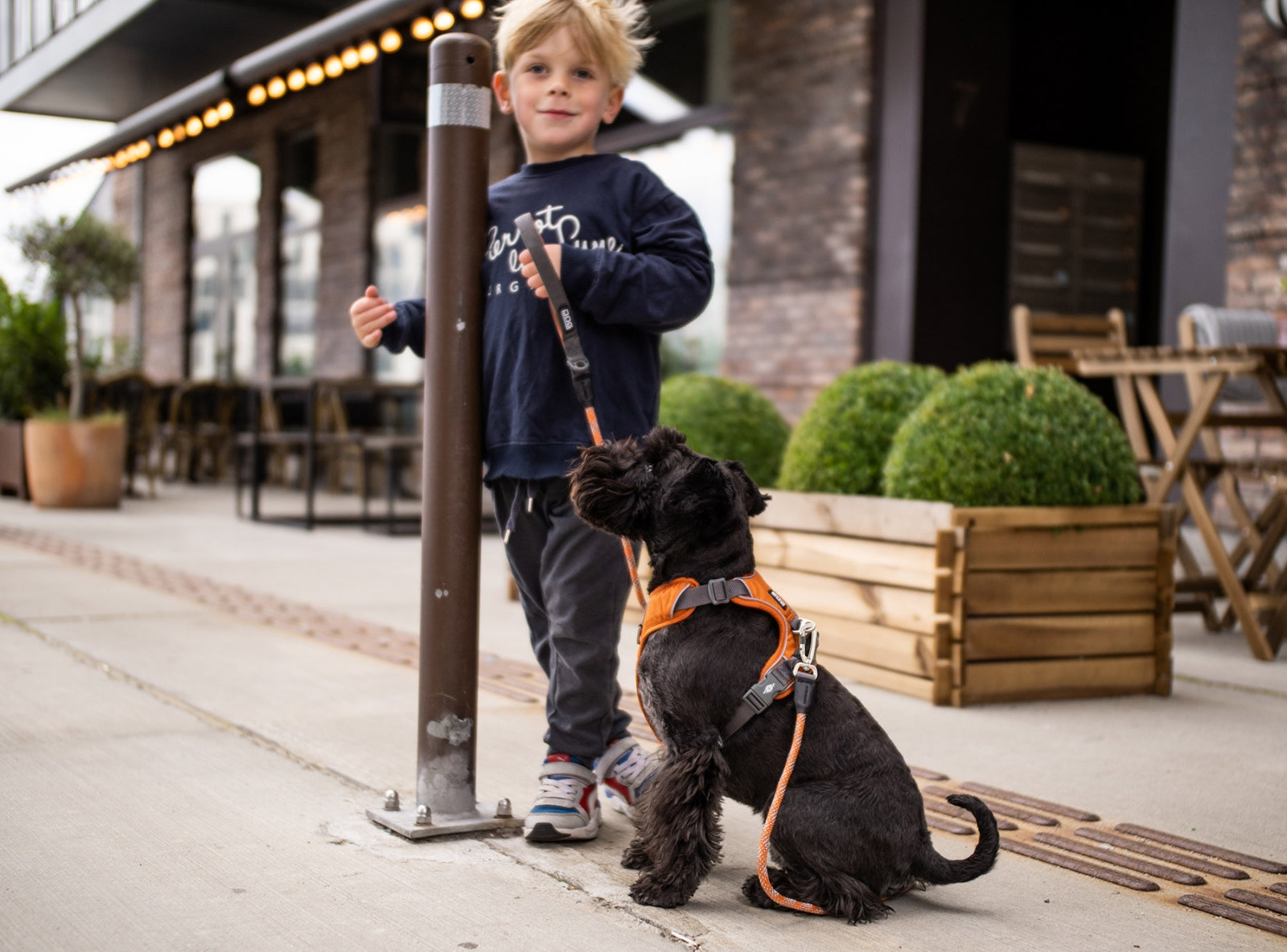 Comfort Walk Pro Sele - Mocca - Dog Copenhagen