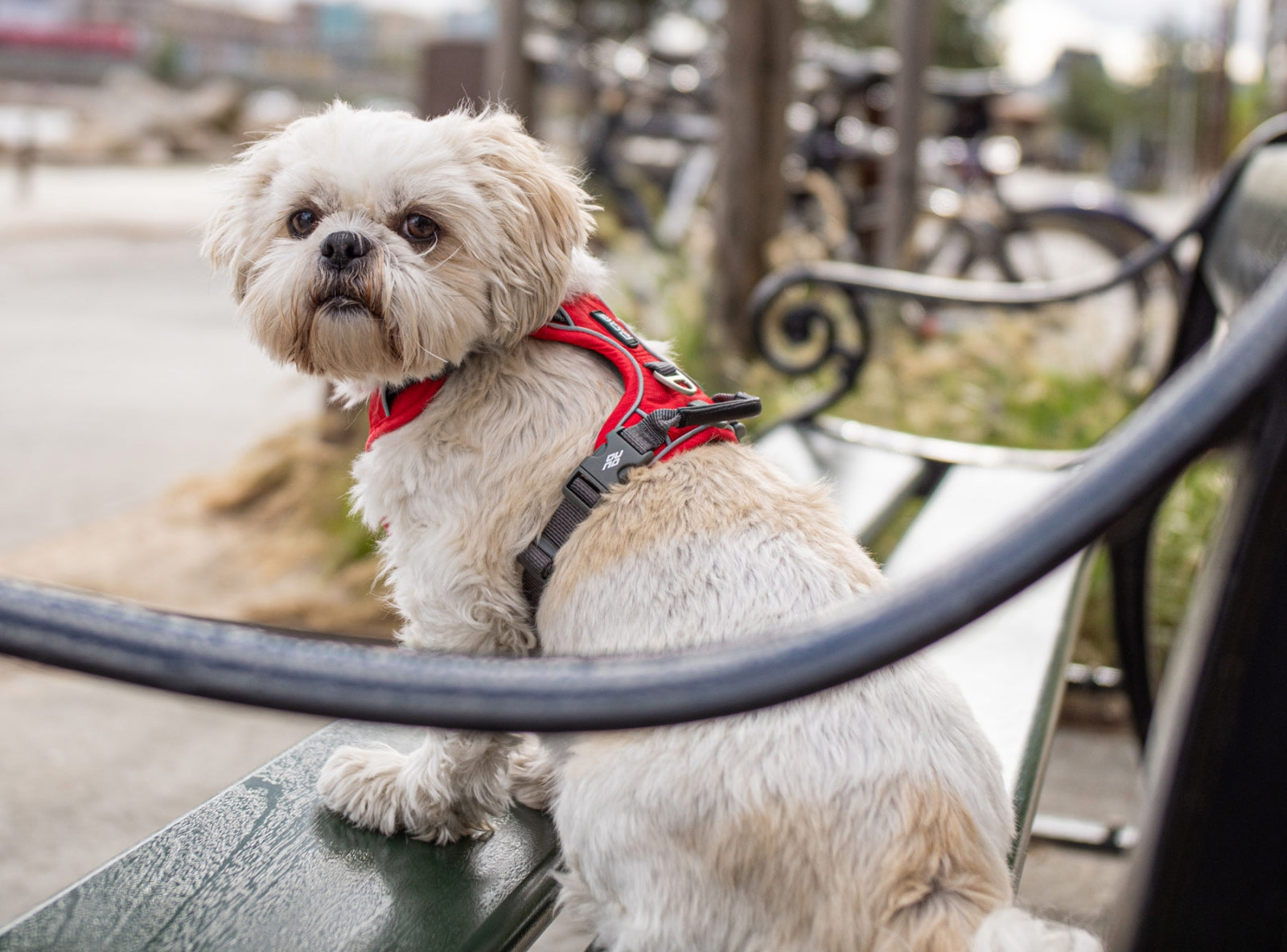 Comfort Walk Pro Sele - Pink - Dog Copenhagen