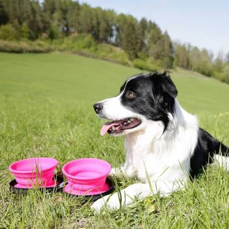 Double Travel Bowl - KIWI WALKER Slowfeeder