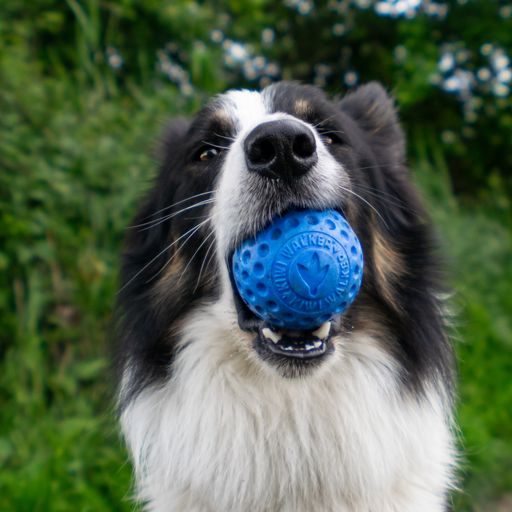 Let's play BALL - MINI