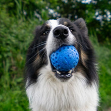 Let's play BALL - MINI