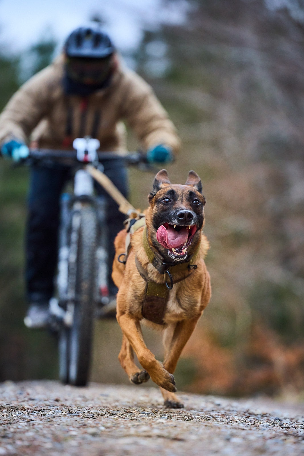 Freemotion Non-stop Dogwear Working Dog sele