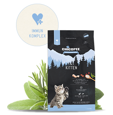Chicopee Holistisk tørkost - Kitten