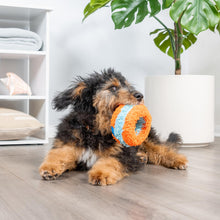 Indoor Roller - Chuck it!
