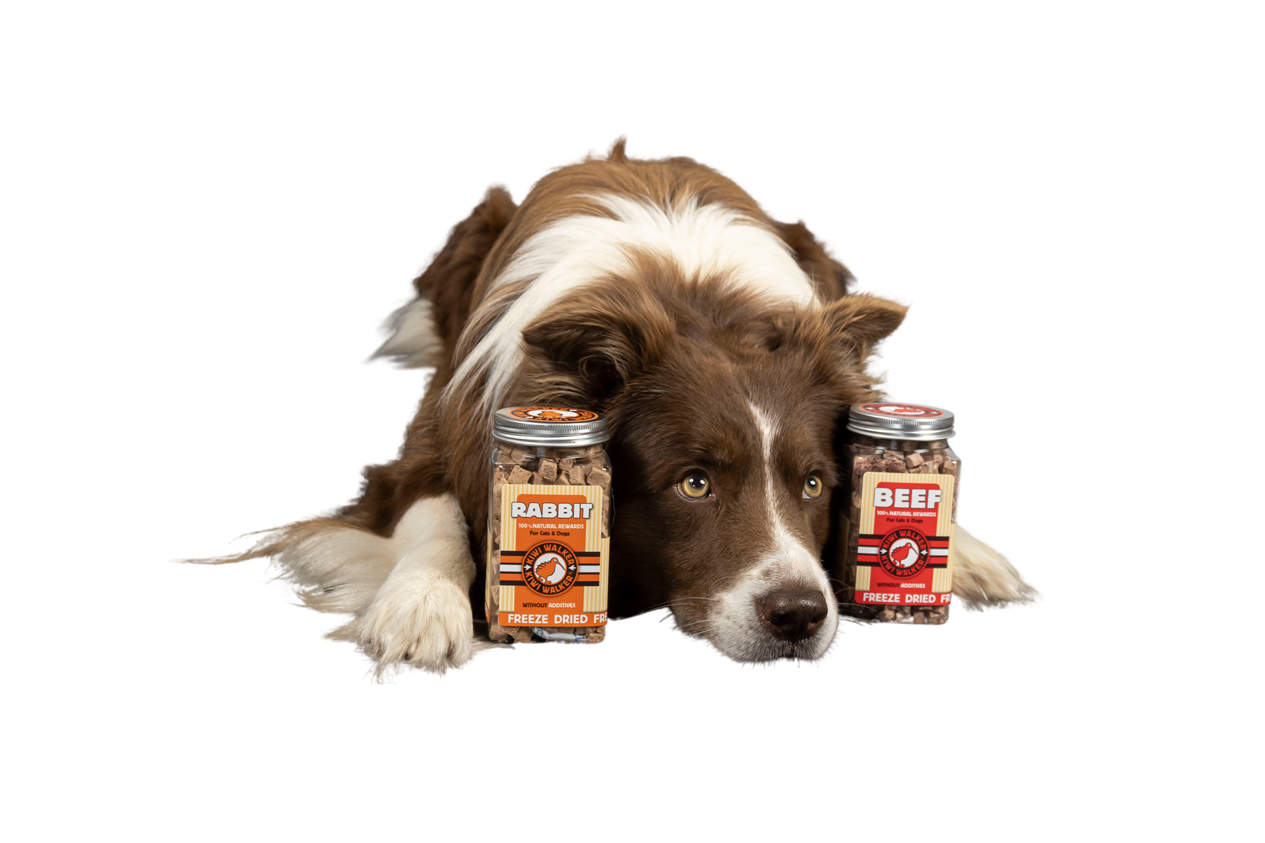 Snack Lamb - 90g