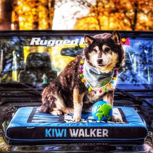 Hundemadras - KIWI WALKER - BLÅ