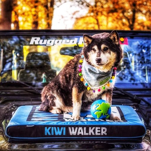 Hundemadras - KIWI WALKER - PINK