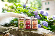 Freeze Dried Snacks - Kiwi Walker