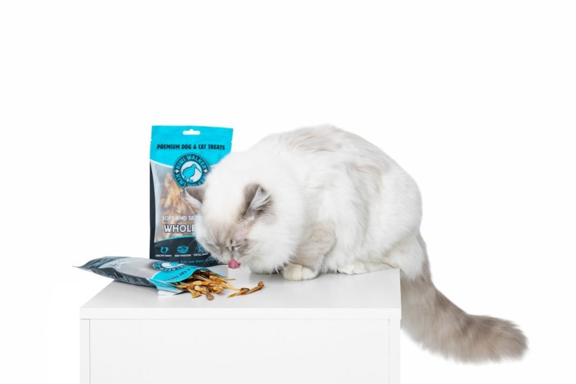 Whole Fish (Soft and Tasty Treat) - Premium Dog & Cat Treats - Kiwi Walker