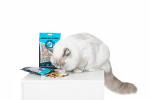 Whole Fish (Soft and Tasty Treat) - Premium Dog & Cat Treats - Kiwi Walker