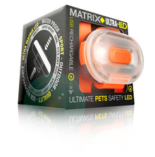Max & Molly LED lygte