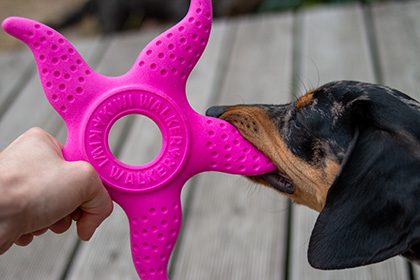 Let’s play Octopus & Starfish