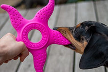 Let’s play Octopus & Starfish