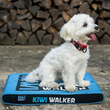 Hundemadras - KIWI WALKER - GRØN