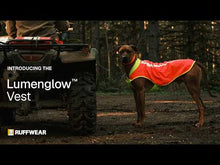 Lumenglow High-Vis Vest, refleksvest til hund - Ruffwear Blaze Orange