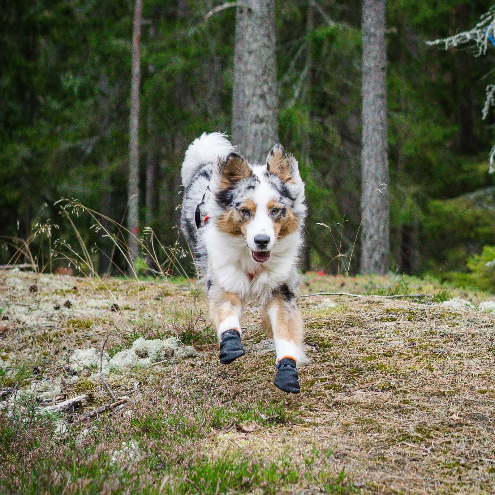 Non-stop booties - 4 pak sokker