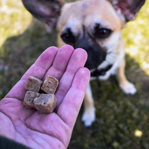 Snack Chicken Liver - 115g