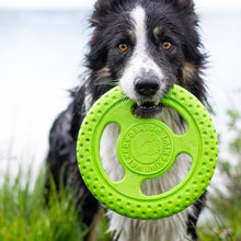 Let's play FRISBEE - MAXI