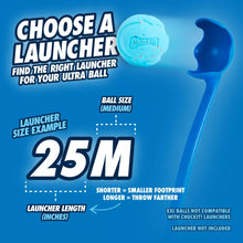 Rebounce Fetch Ball M (2-pack) - Chuck It!