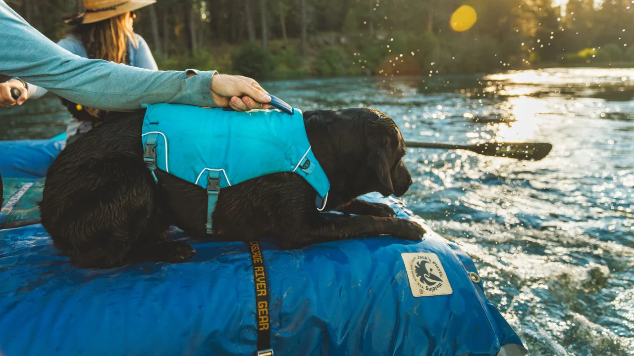 Blå Confluence™ Redningsvest til Hund | Ruffwear