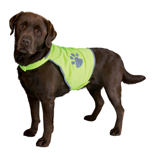 Sikkerhedsvest til hunde