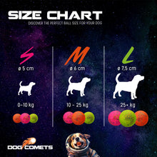 Dog Comet Stardust bold Large m/snor