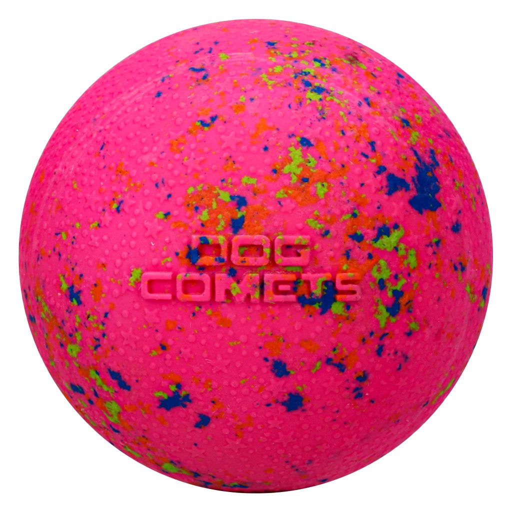 Dog Comet Stardust bold Large m/snor