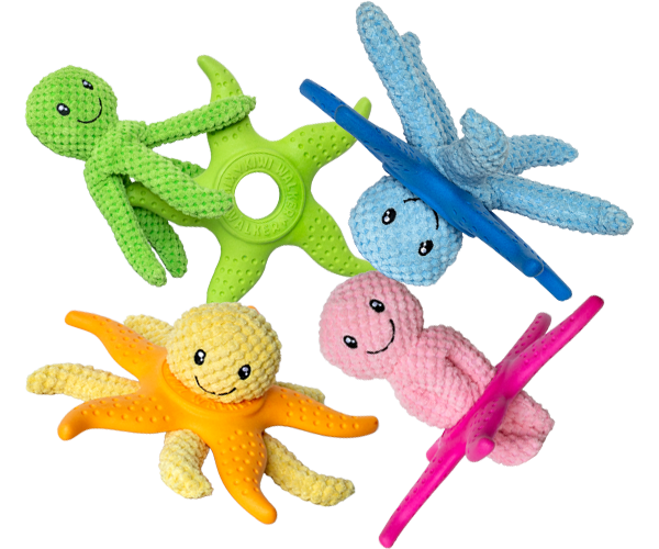 Let’s play Octopus & Starfish