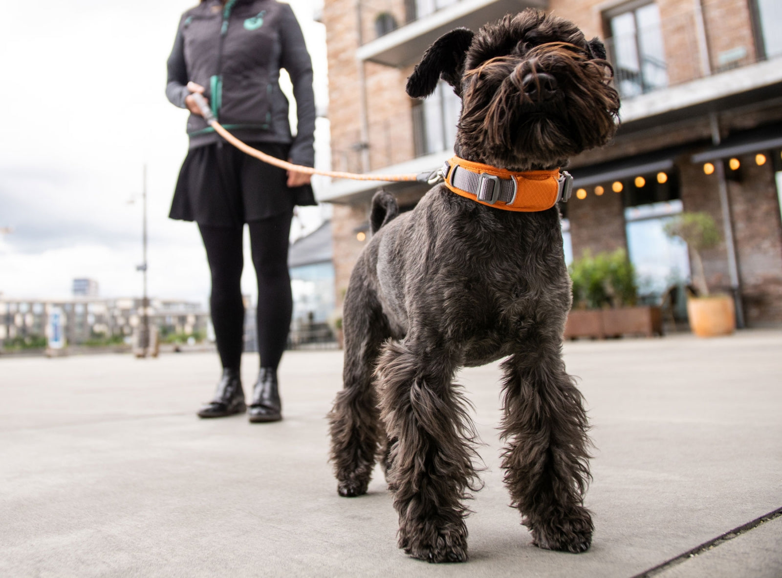 Halsbånd Rød - Dog Copenhagen