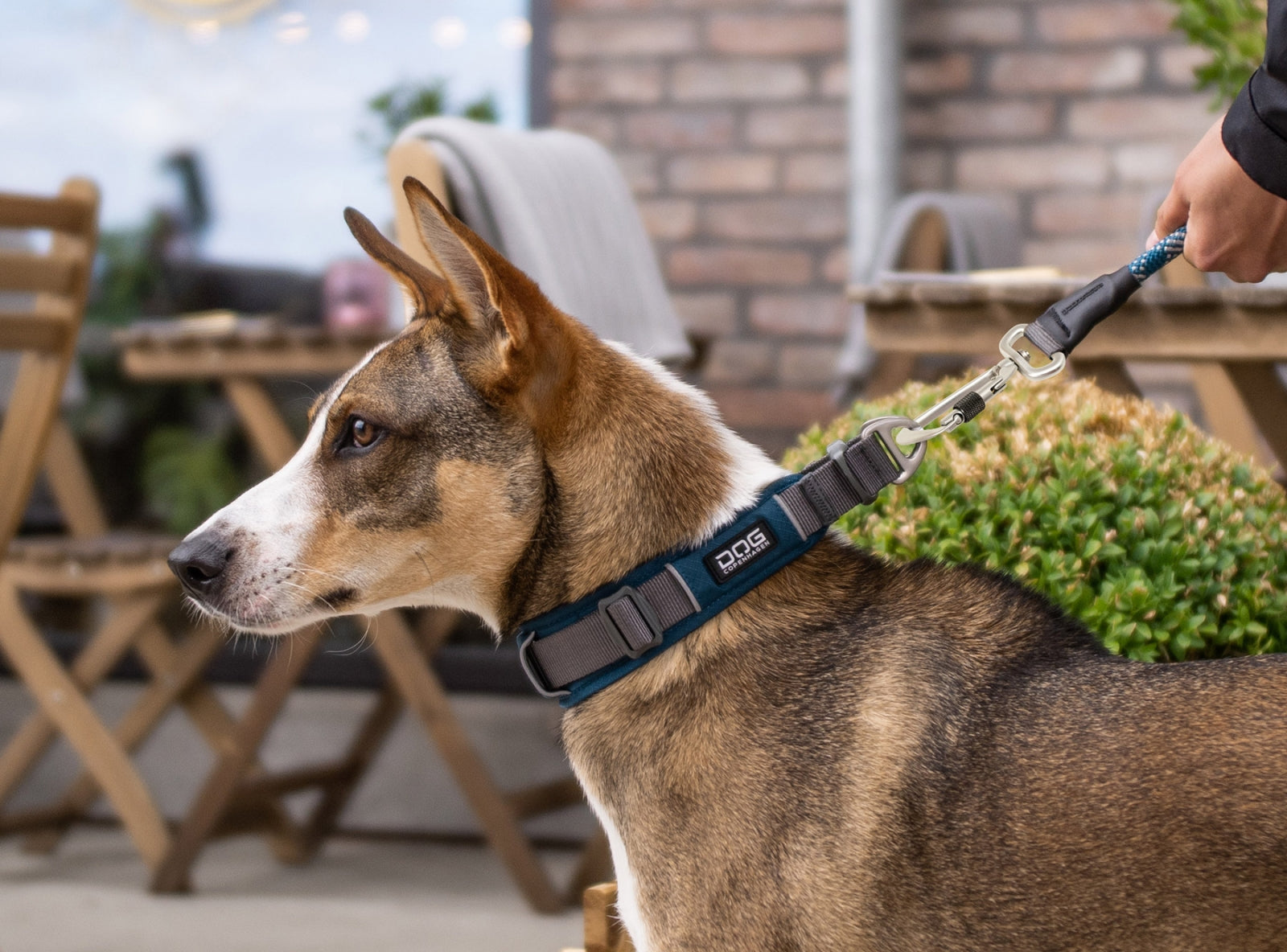 Halsbånd Rød - Dog Copenhagen
